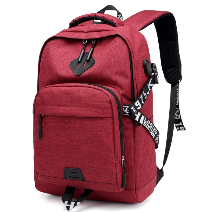 USB Charging Laptop Backpack – Travel Work Bag